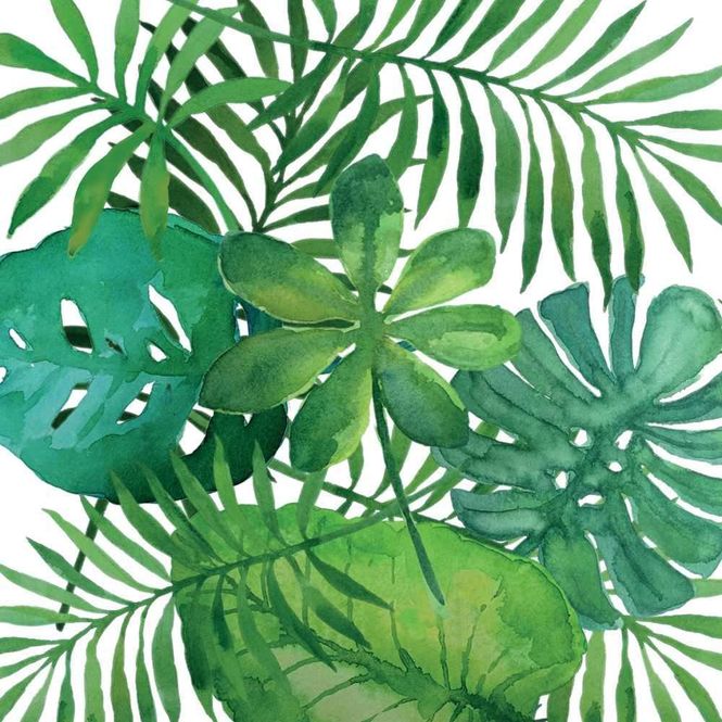 Hovedbilde Middagsservietter Tropical 