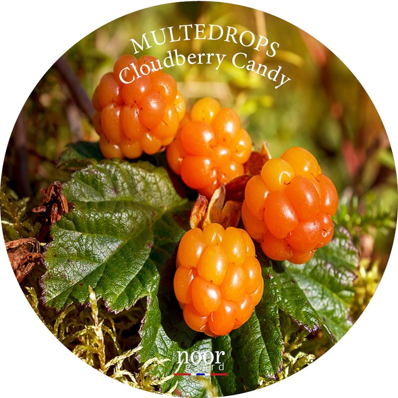 Drops Multe 70 g Noorgaard