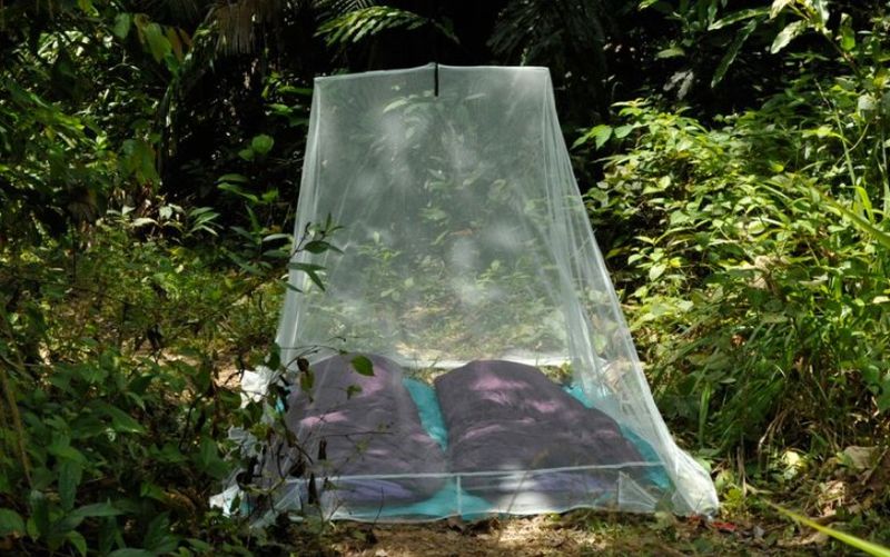 Cocoon Outdoor Myggnett Ultralett Double Silt Green 230x150 cm